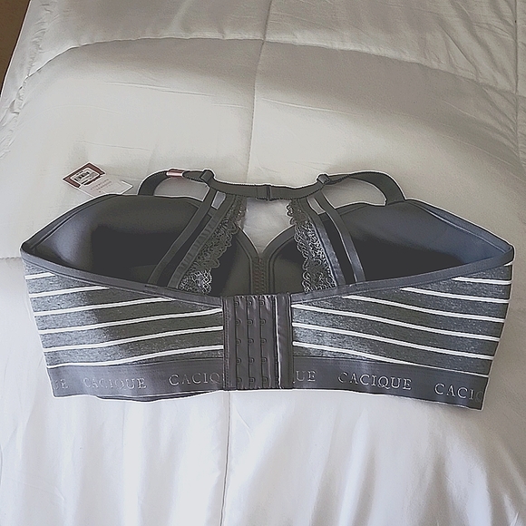 Lane Bryant Striped Bra - Picture 2 of 2